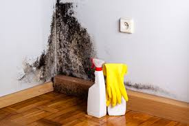 Best Water Damage & Mold Remediation  in Rochelle, GA